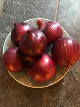 Load image into Gallery viewer, Organic specialty red onion, Monastrell
