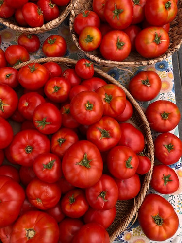 Moskvich tomato pints