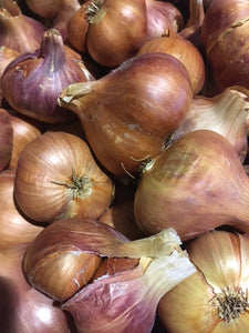 Organic Matador shallots, 6.00 per pound